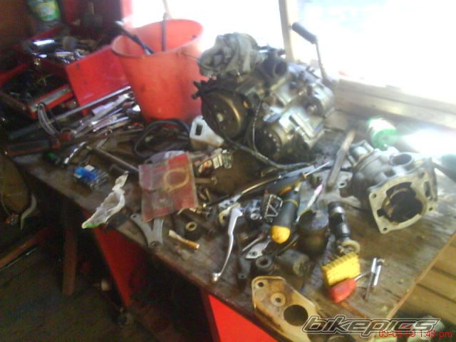Photo 1782058