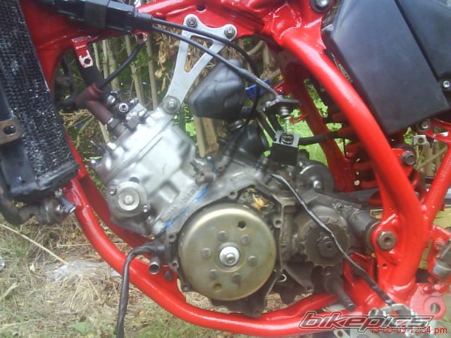 Photo 1782064