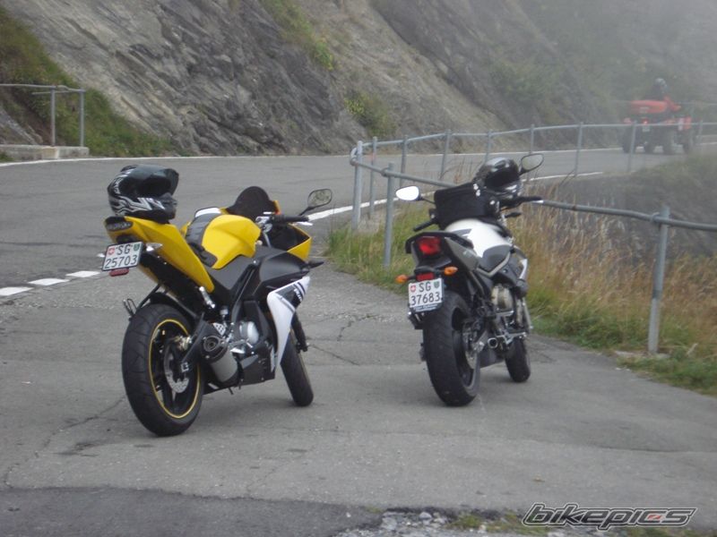 Photo 1782099