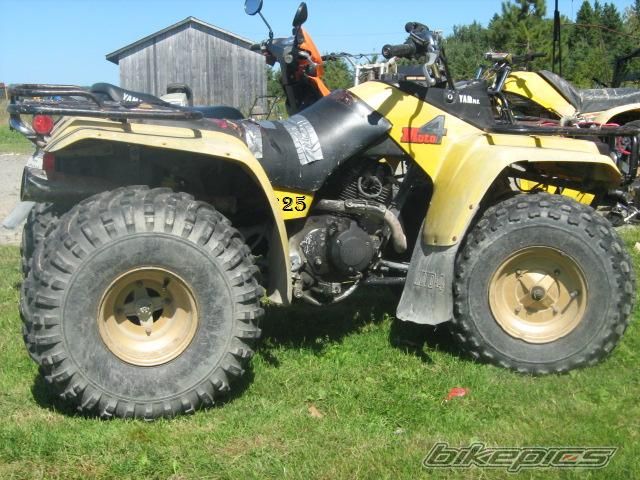 Photo 1782101