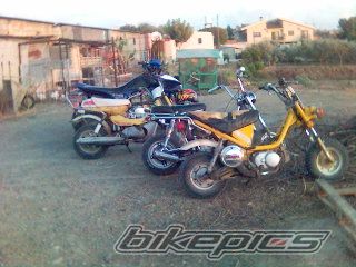 Photo 1782169