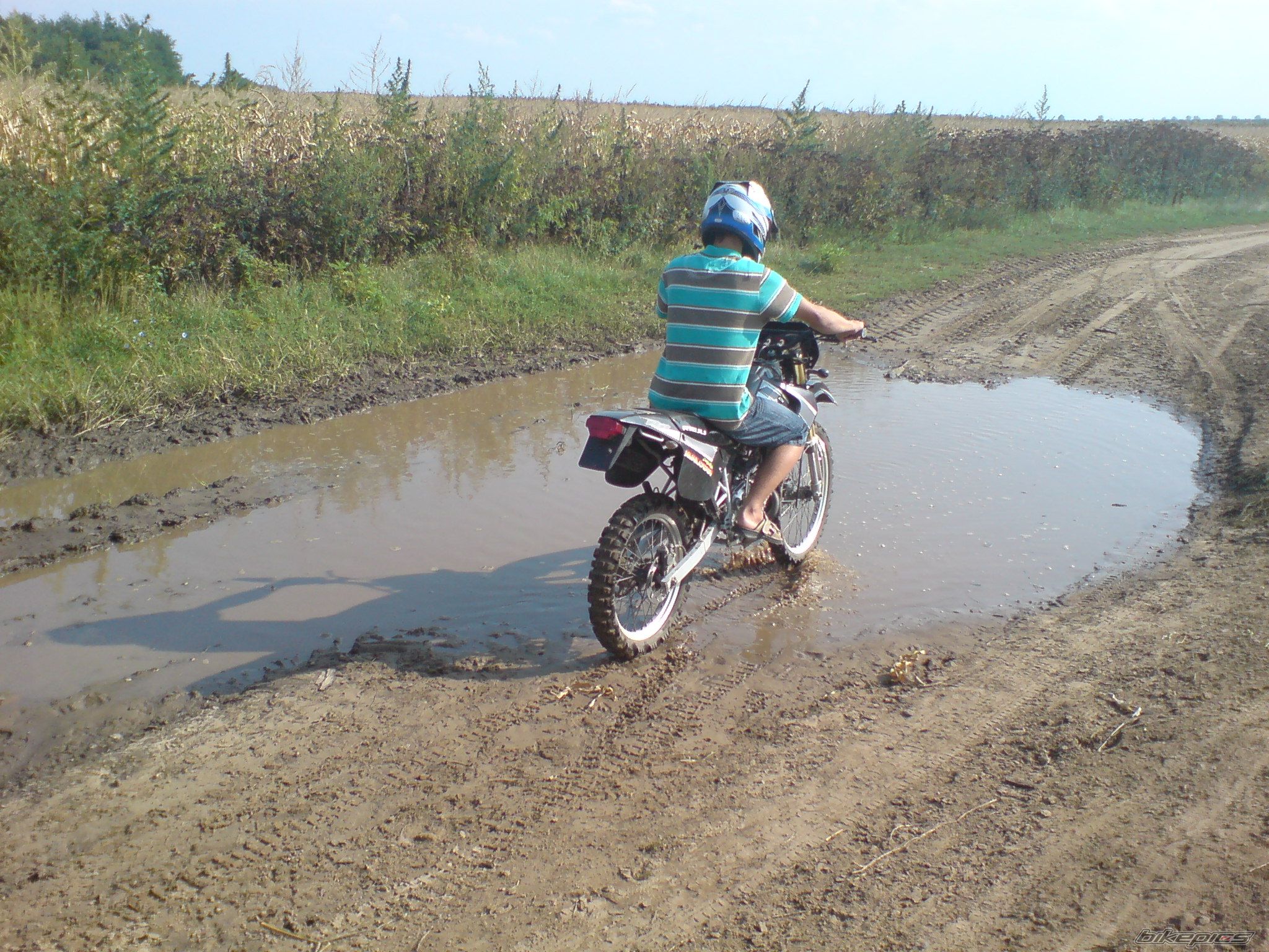 Photo 1782213