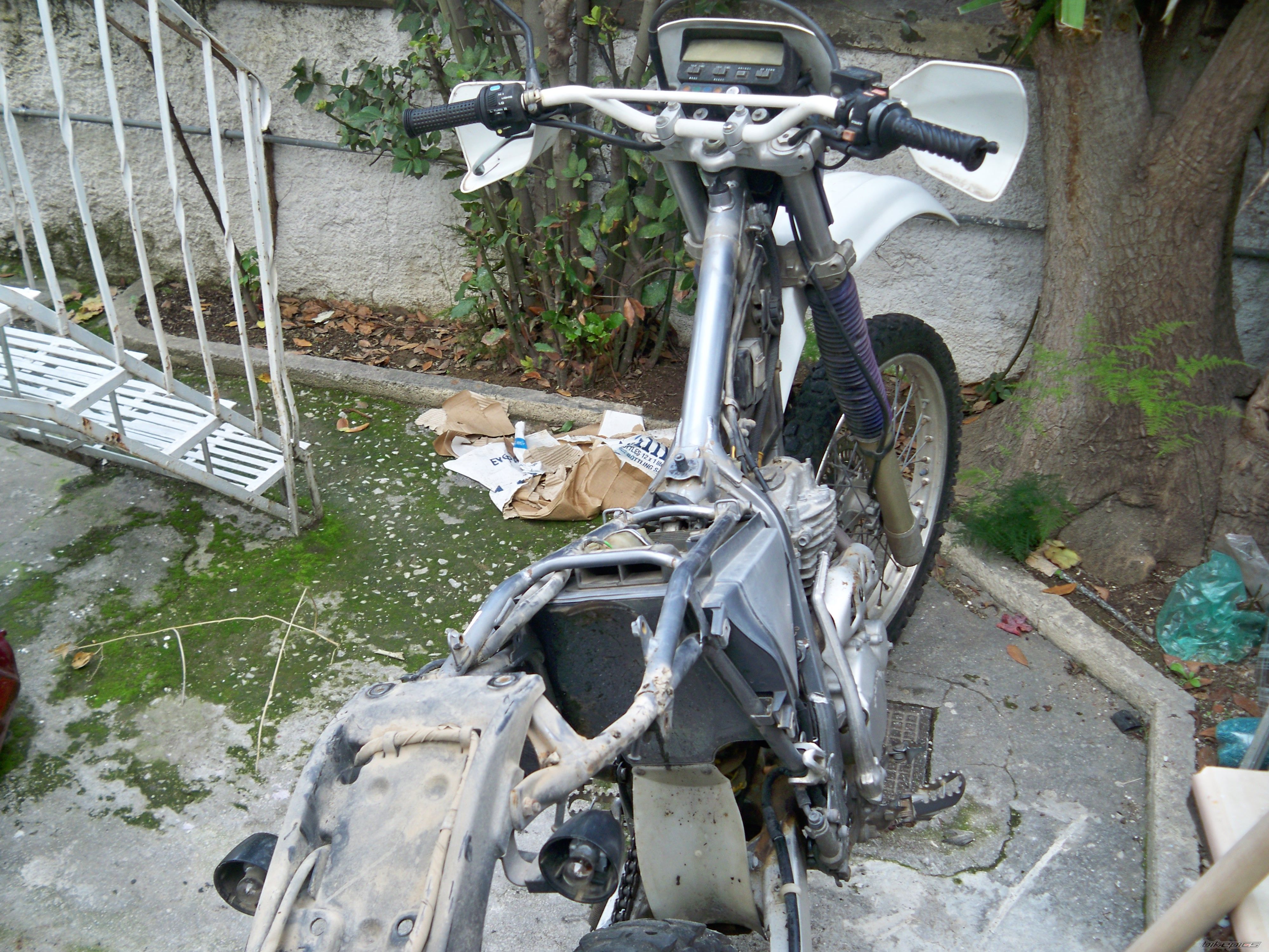 Photo 1782223