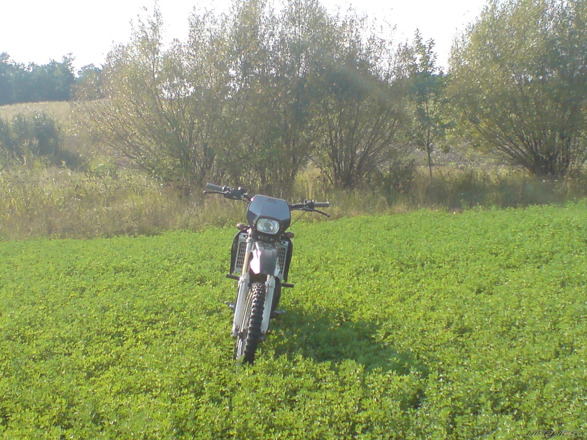 Photo 1782225