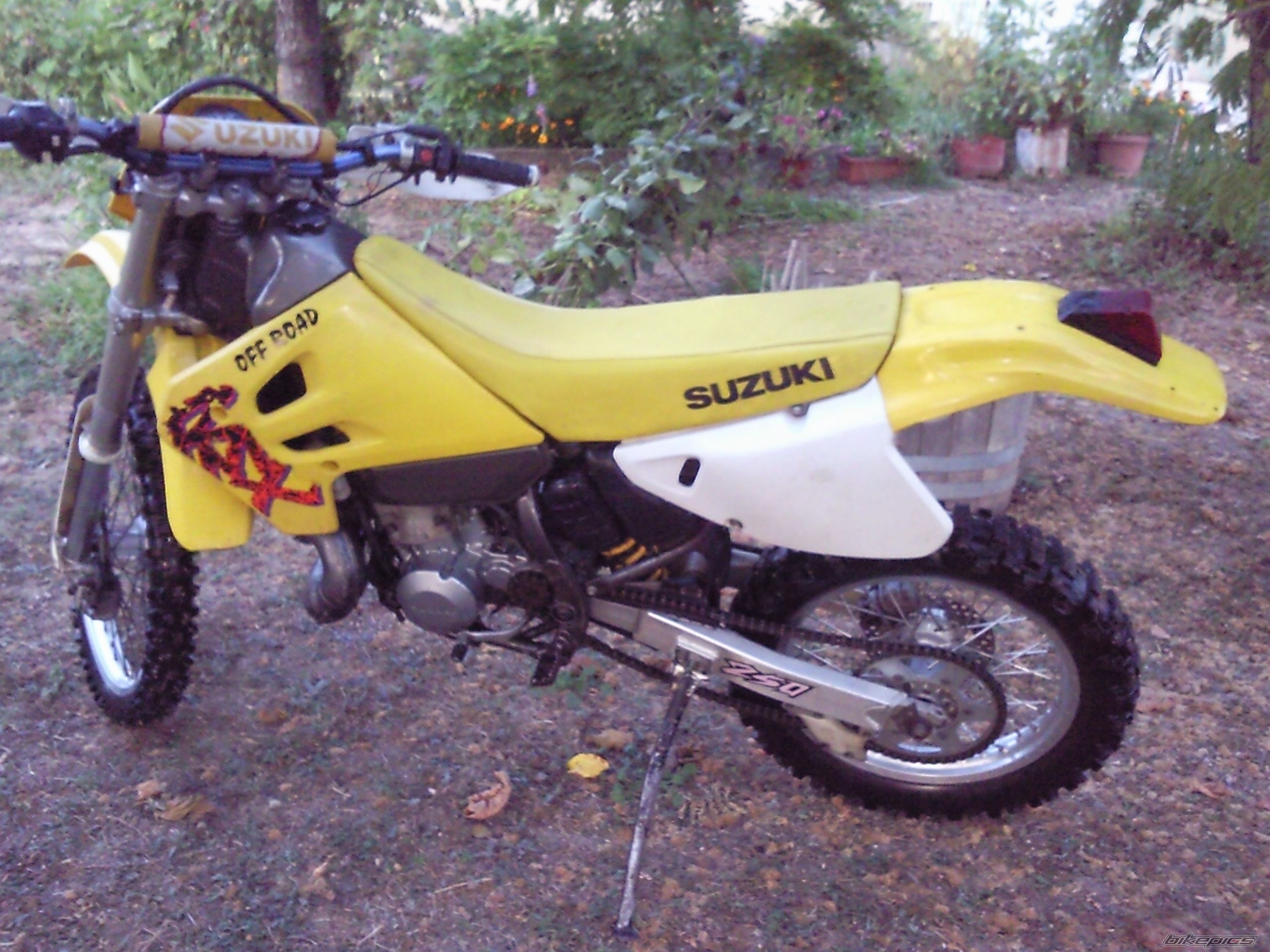 Photo 1782237