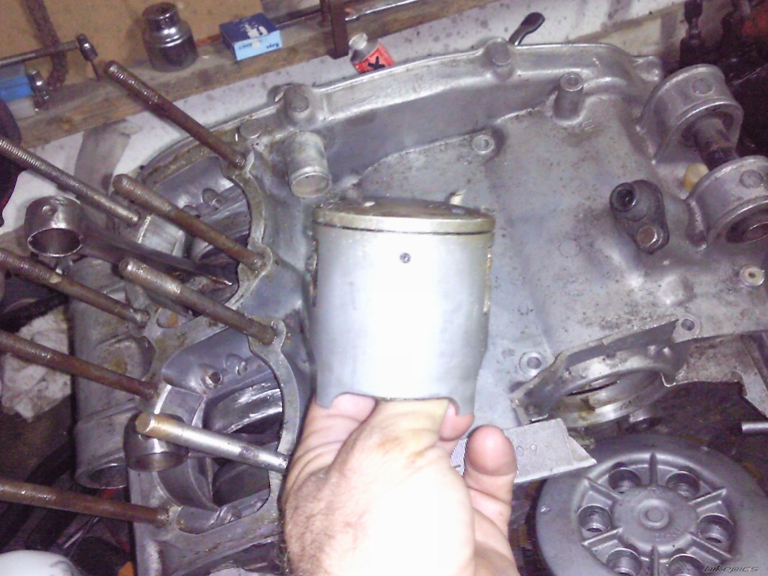 Photo 1782242