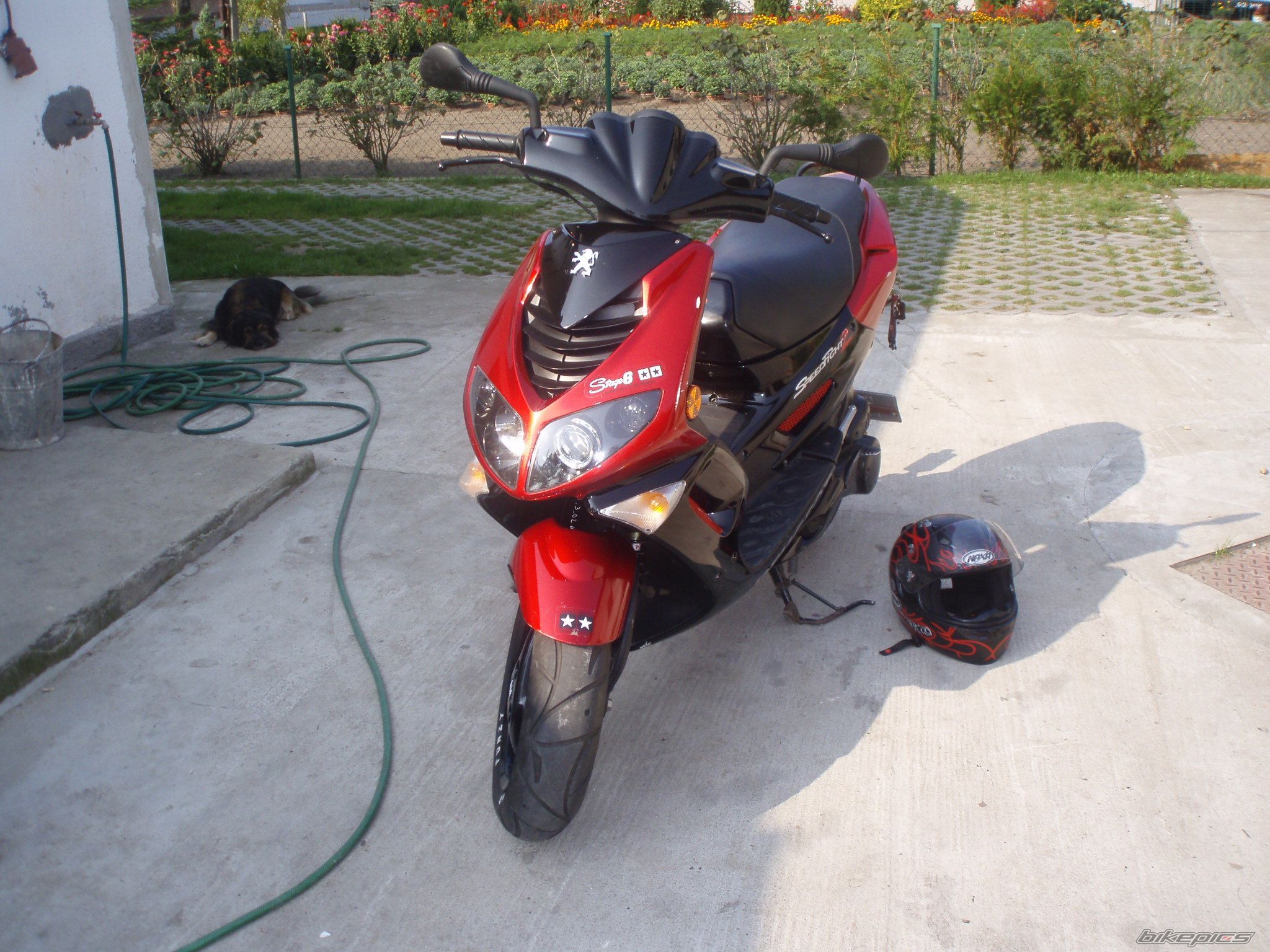 Photo 1782244