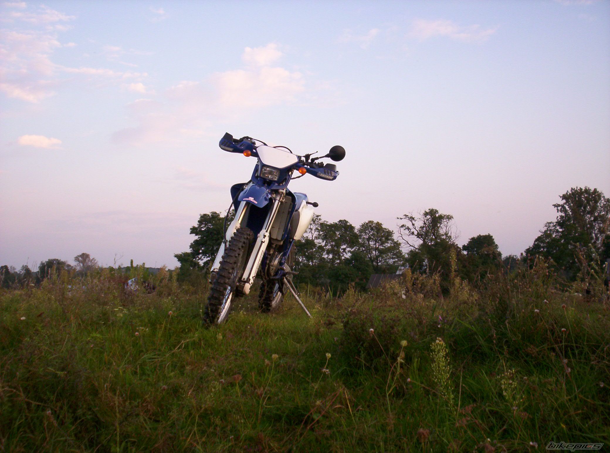 Photo 1782353
