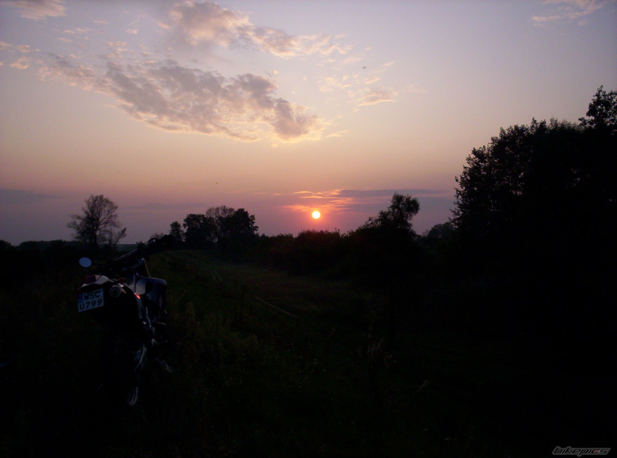 Photo 1782357
