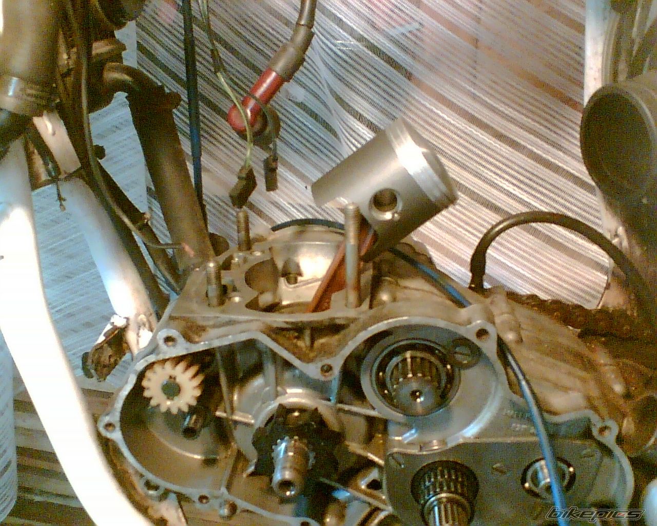 Bike Photo 1782416