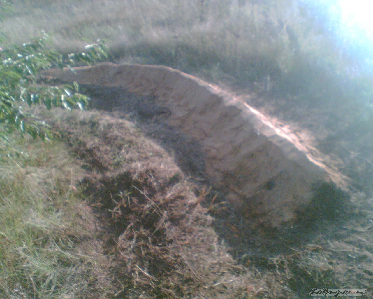 Photo 1782567