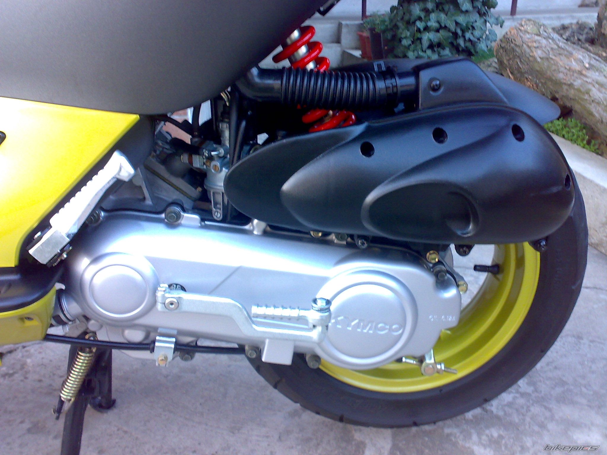 Photo 1782682