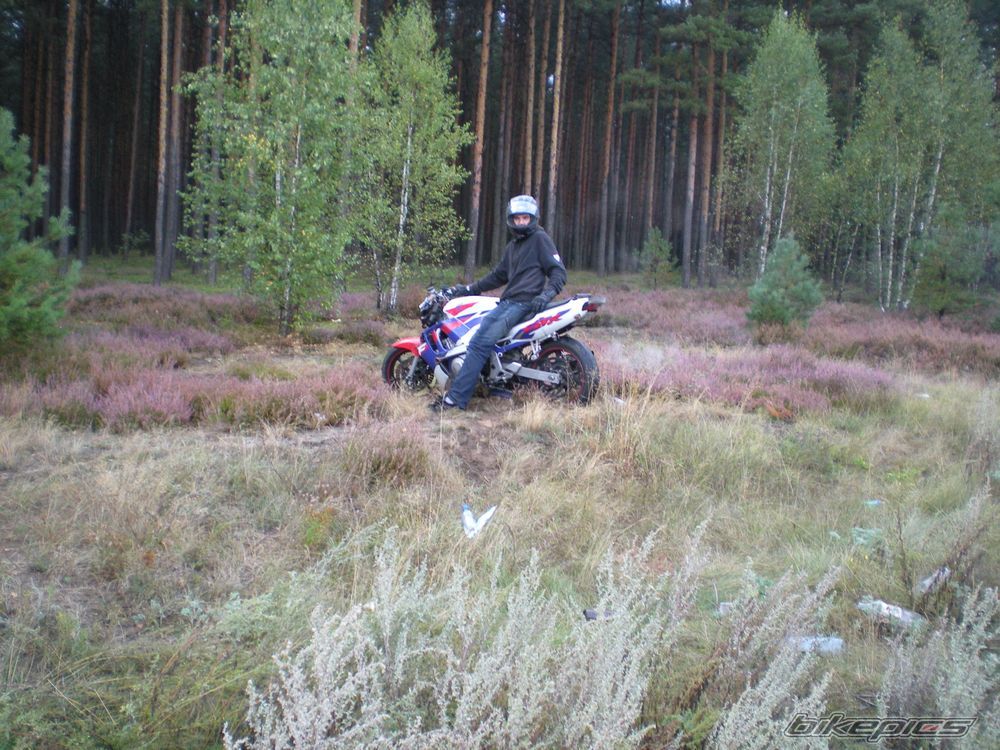 Photo 1782694