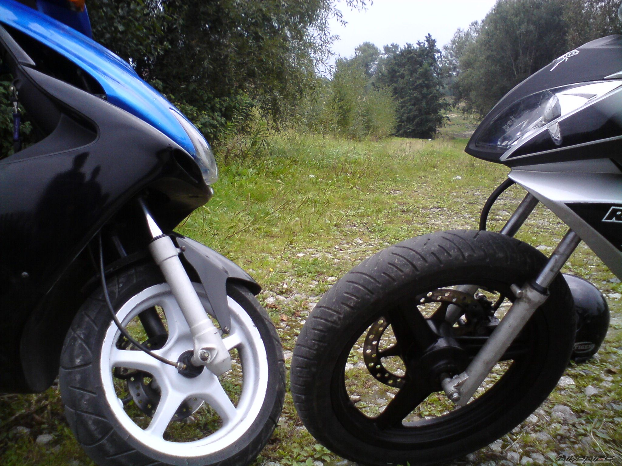 Photo 1782725