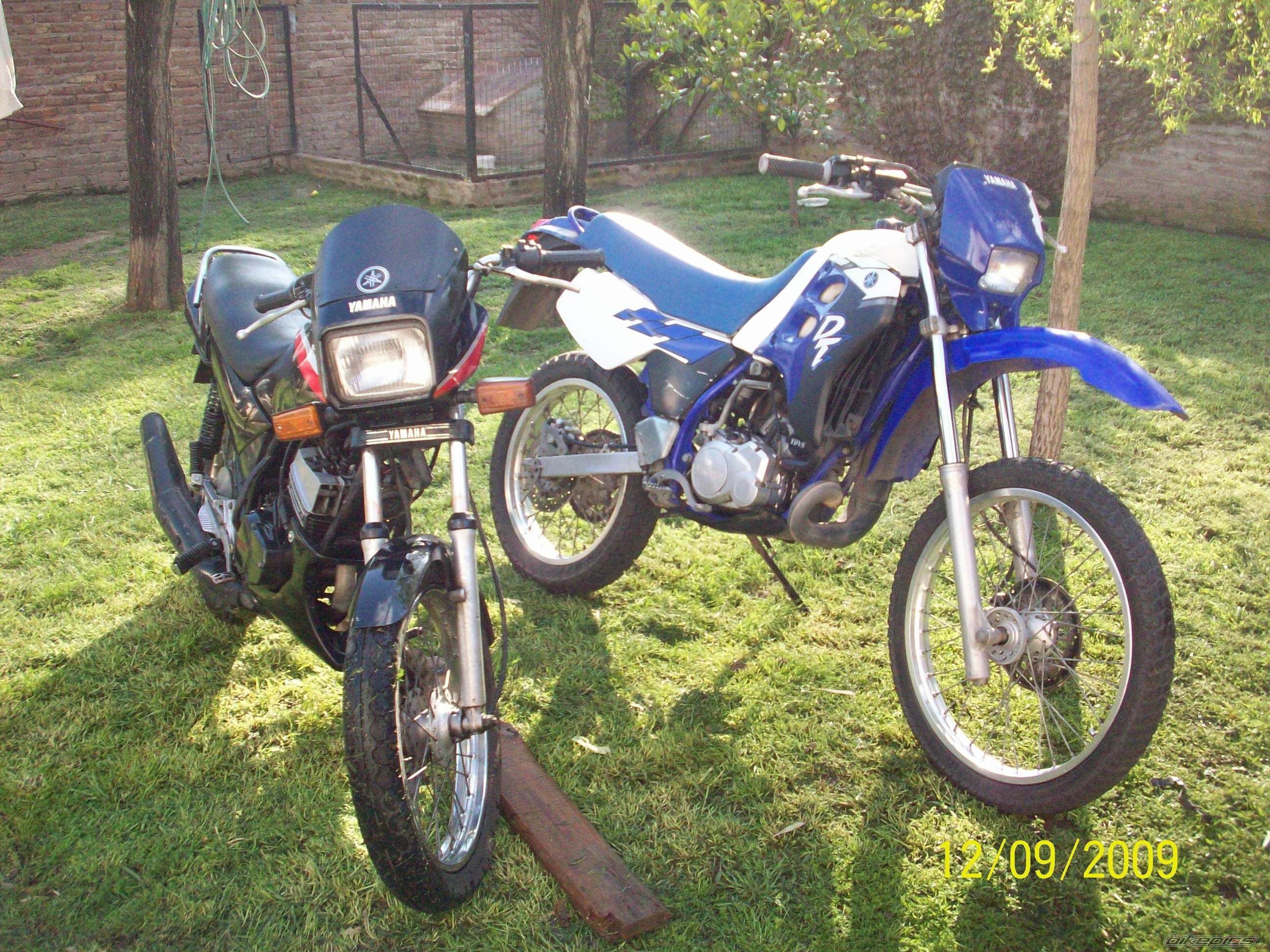 Photo 1782732