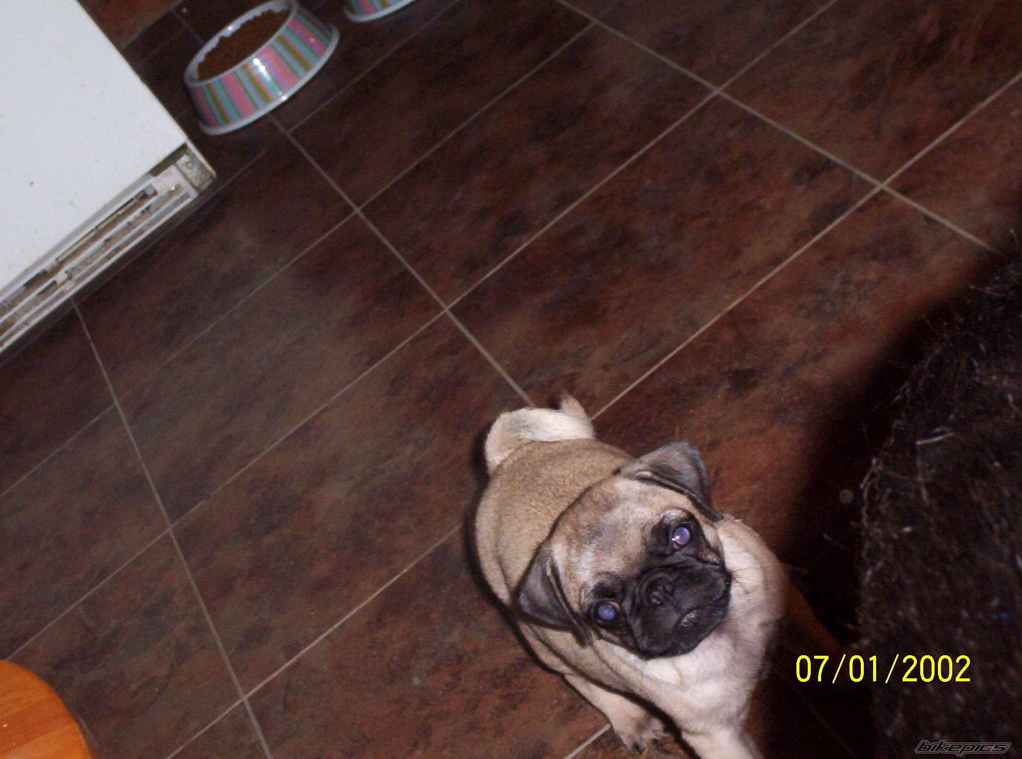 Photo 1782934