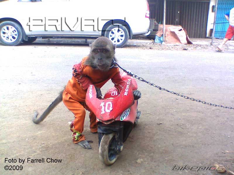 Photo 1782971