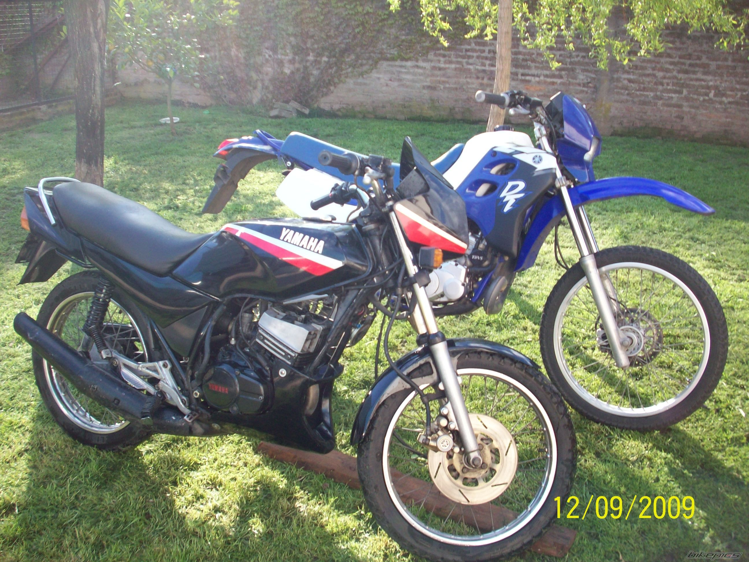 Photo 1783029