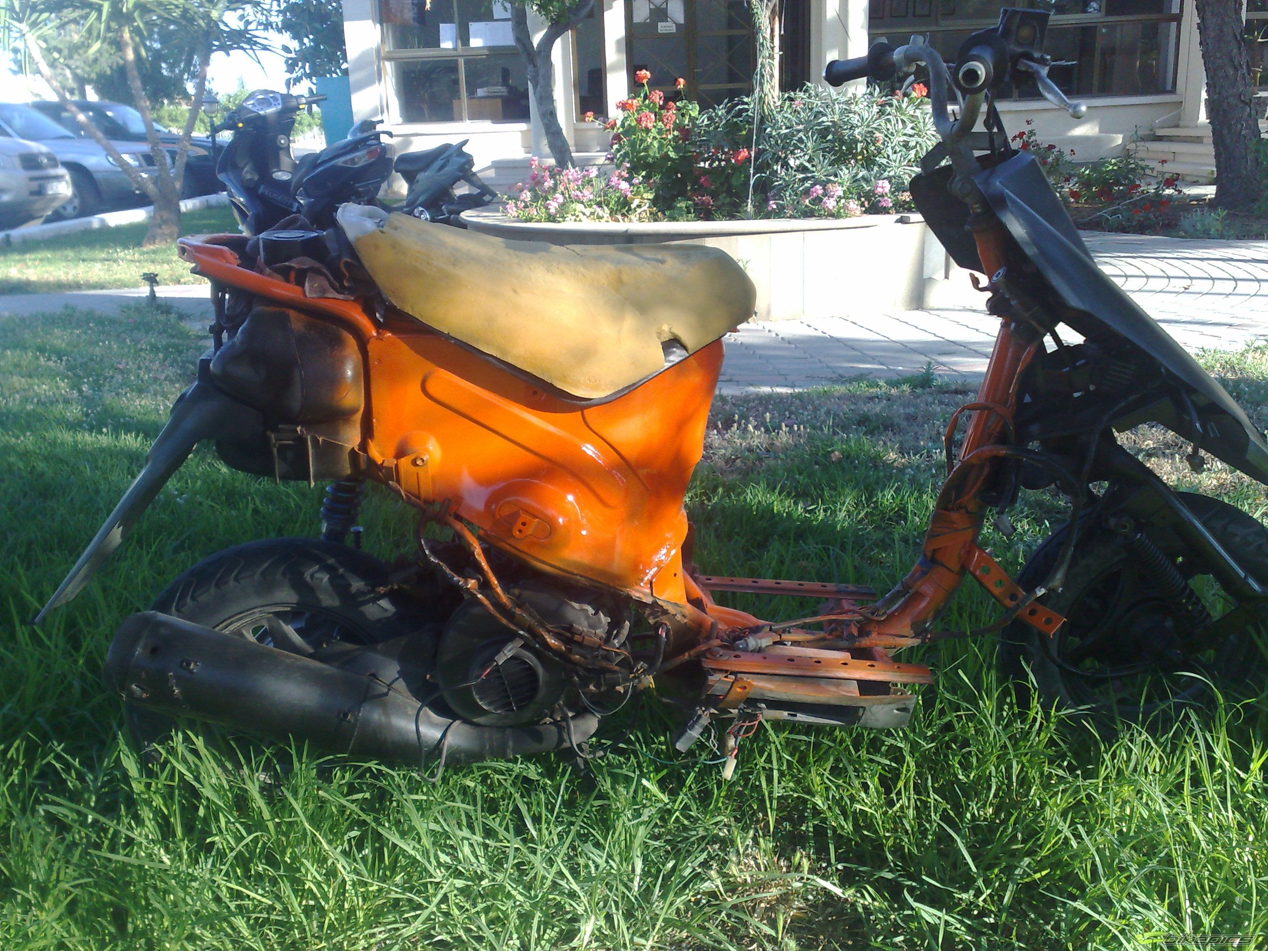 Photo 1783236