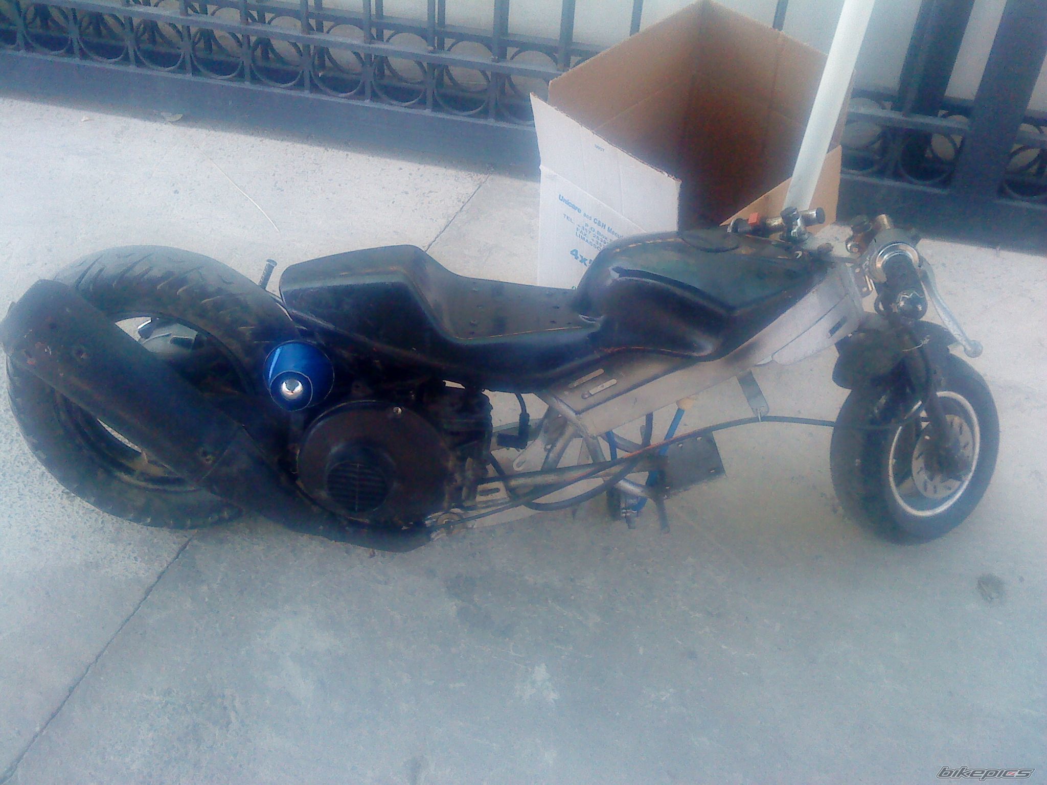 Photo 1783246