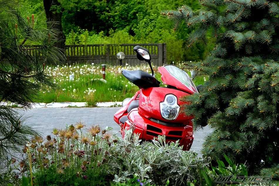 Bike Photo 1783266