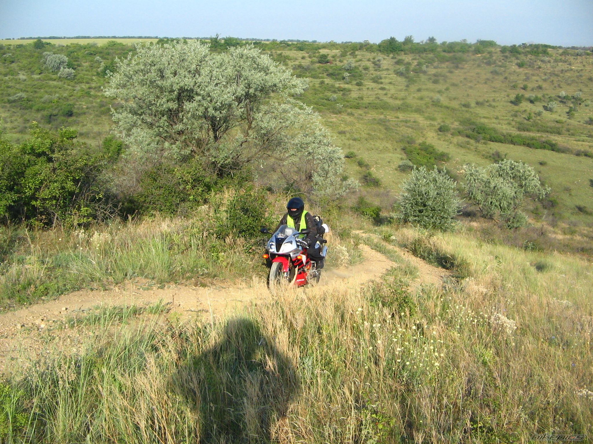 Photo 1783376