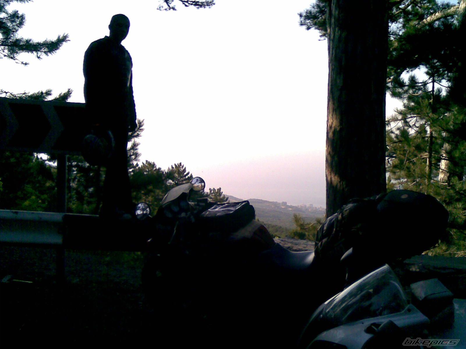 Photo 1783386