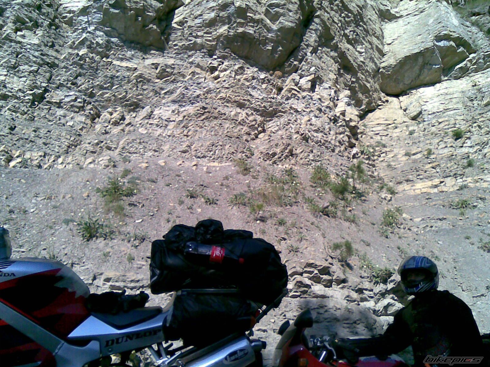 Photo 1783388