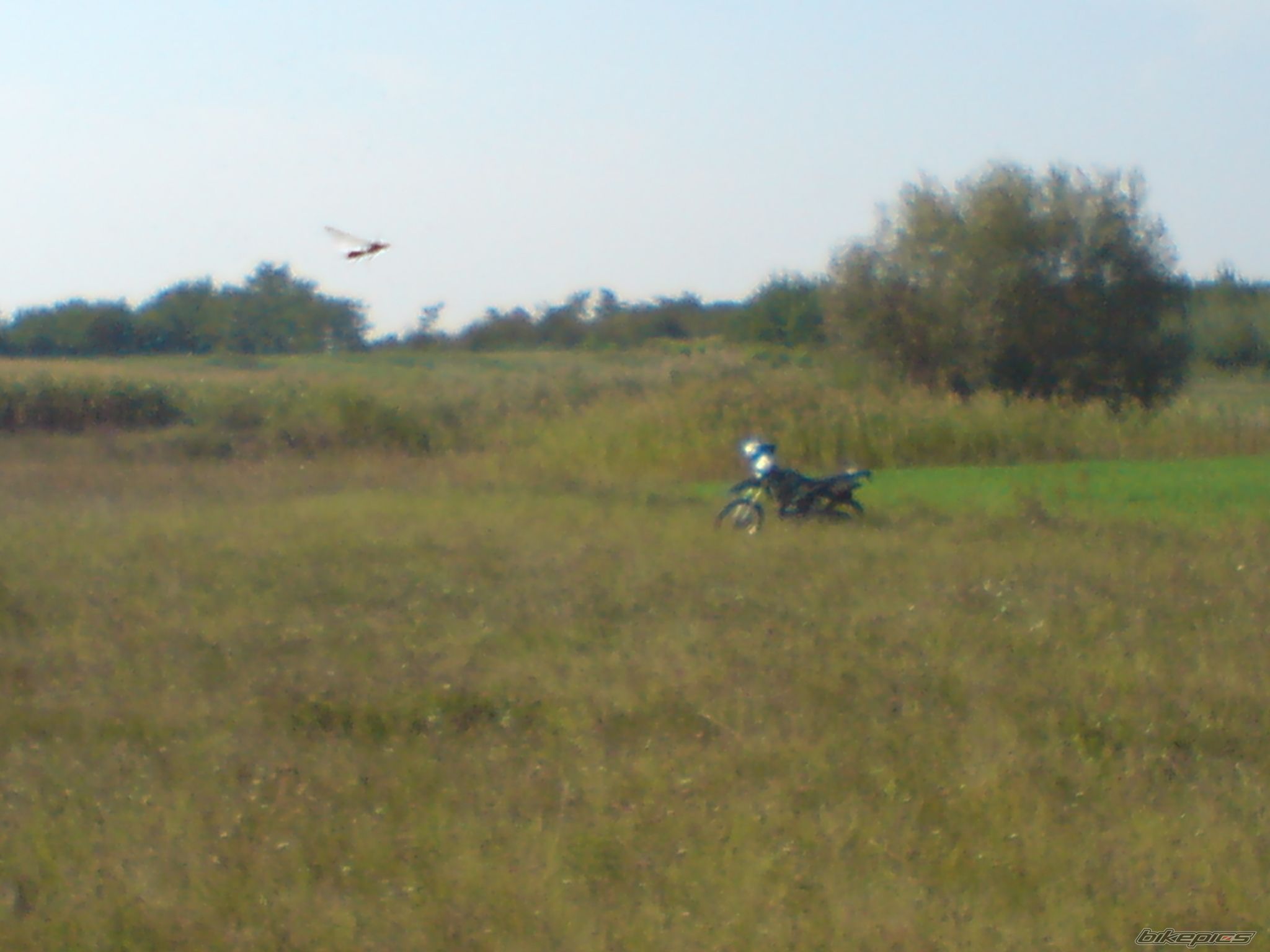 Photo 1783481