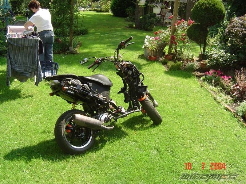 Photo 178354