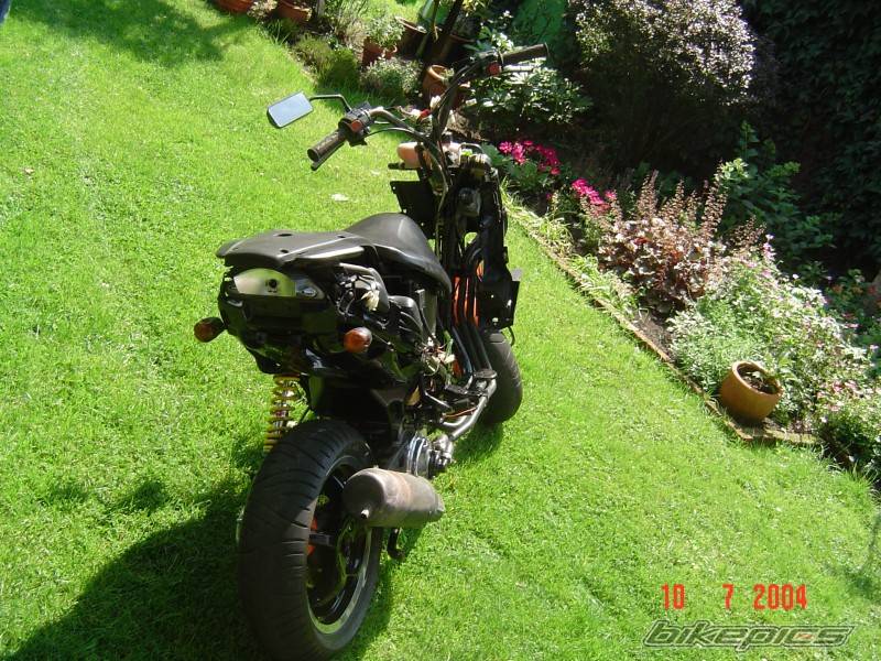 Photo 178355
