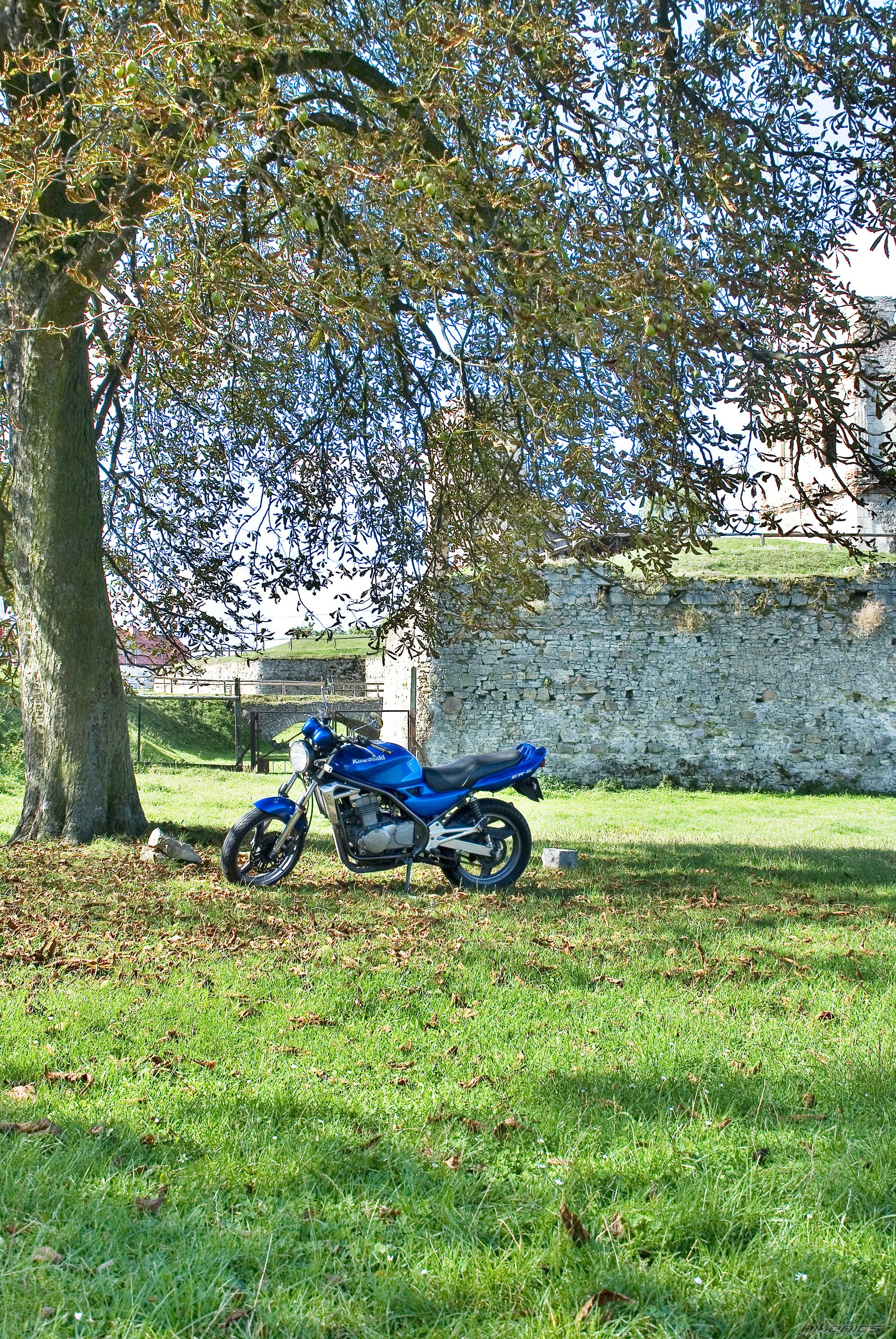 Bike Photo 1783569