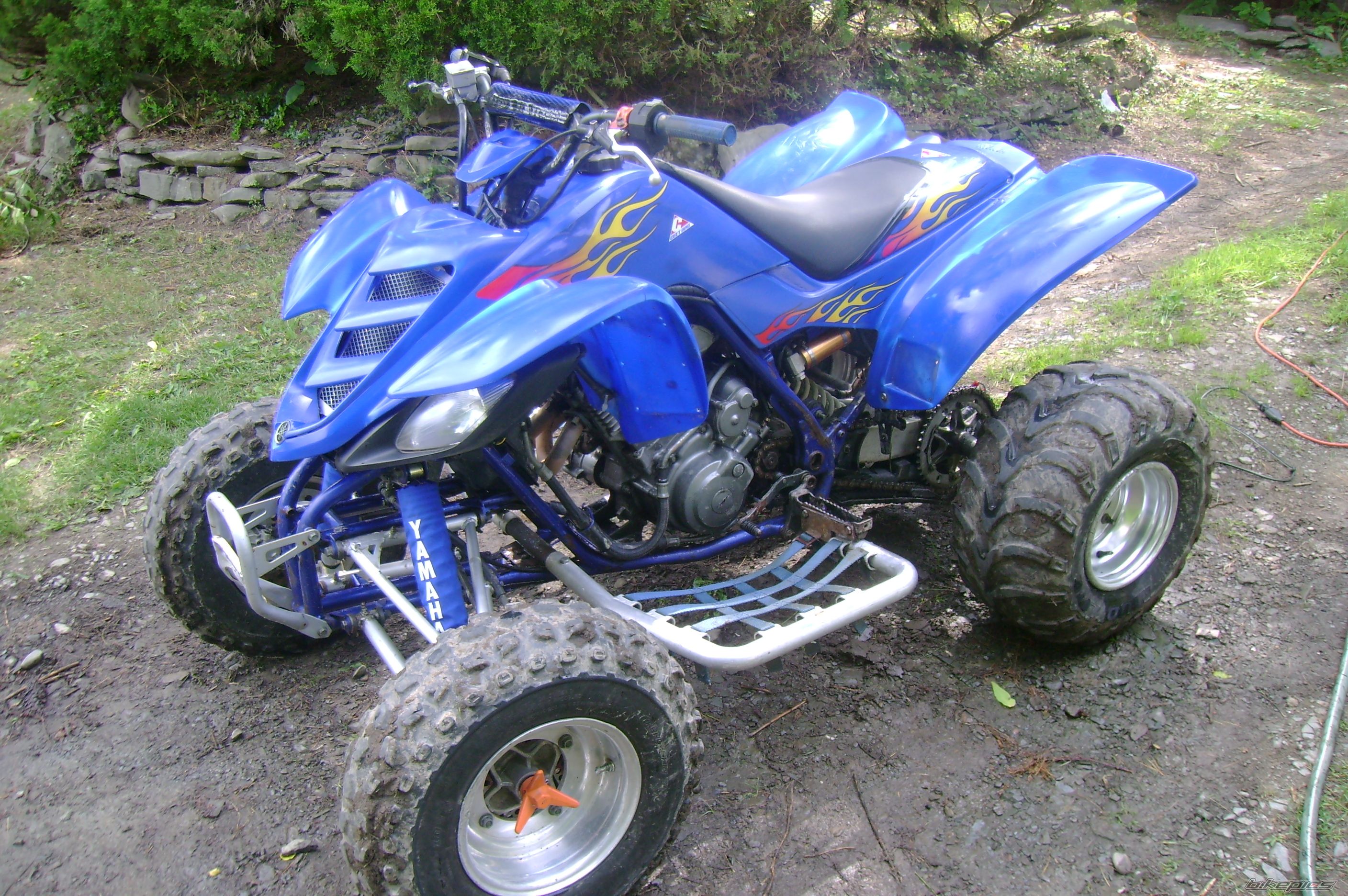 Photo 1783794