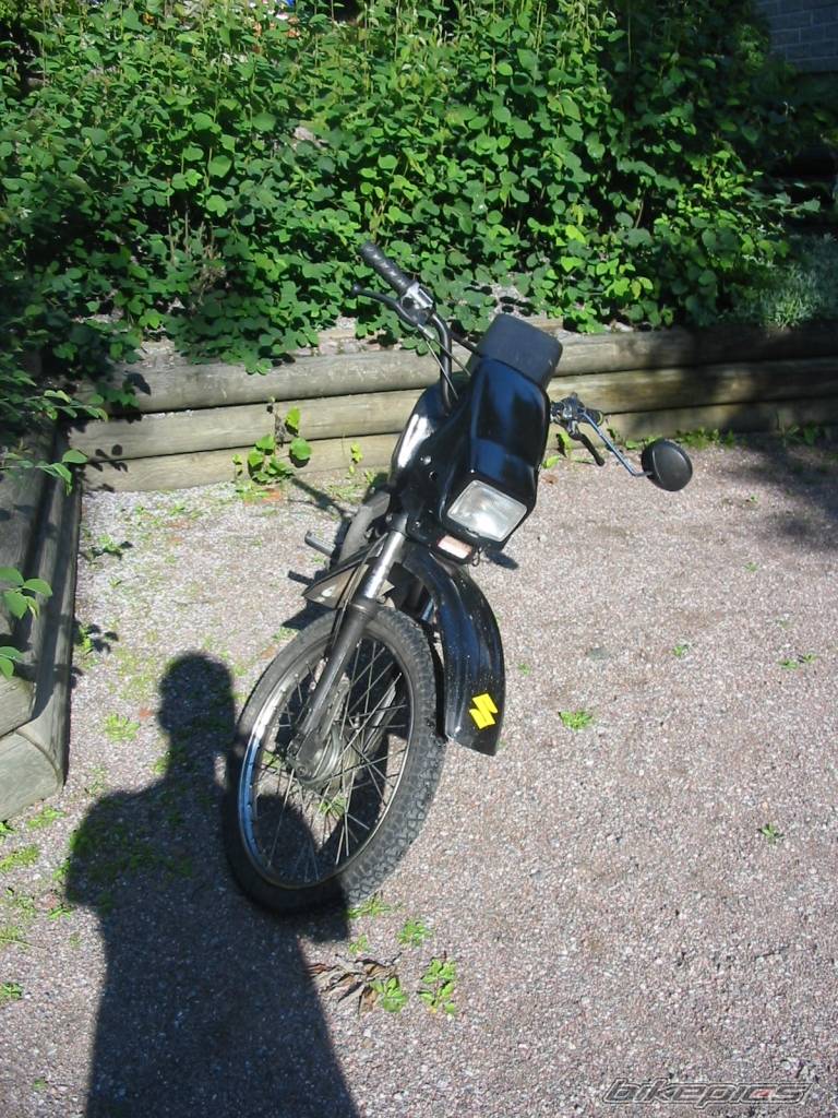 Photo 178391