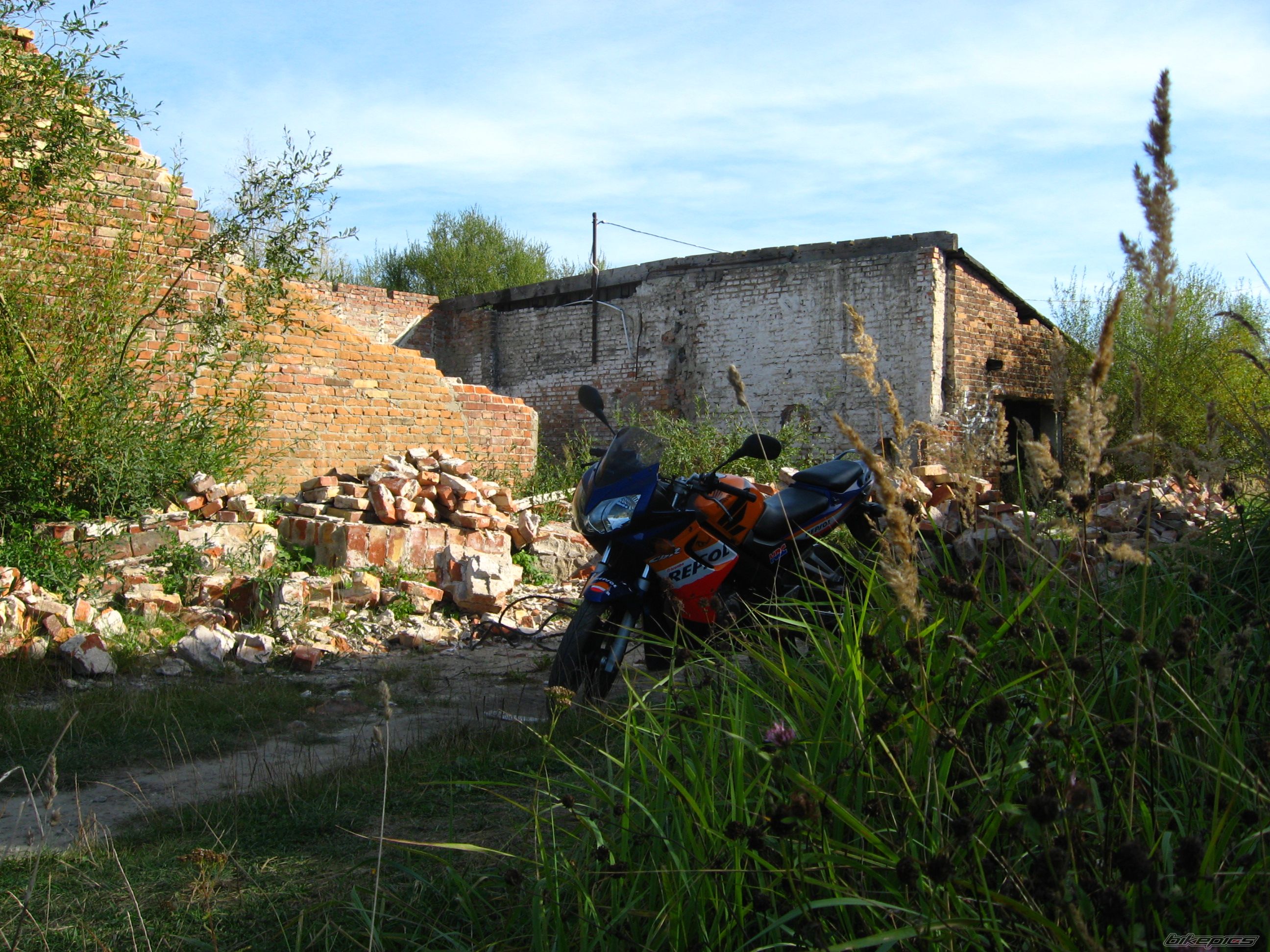 Photo 1783943