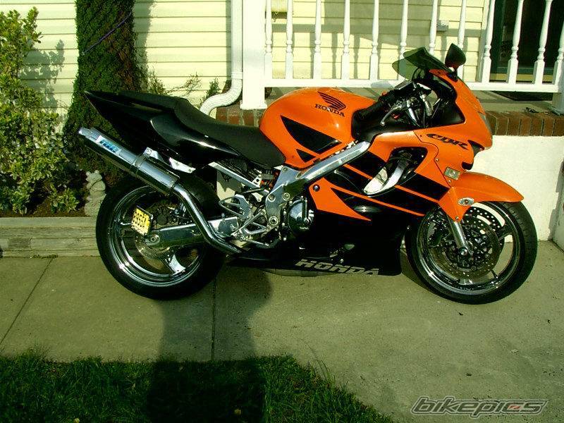 Photo 178405