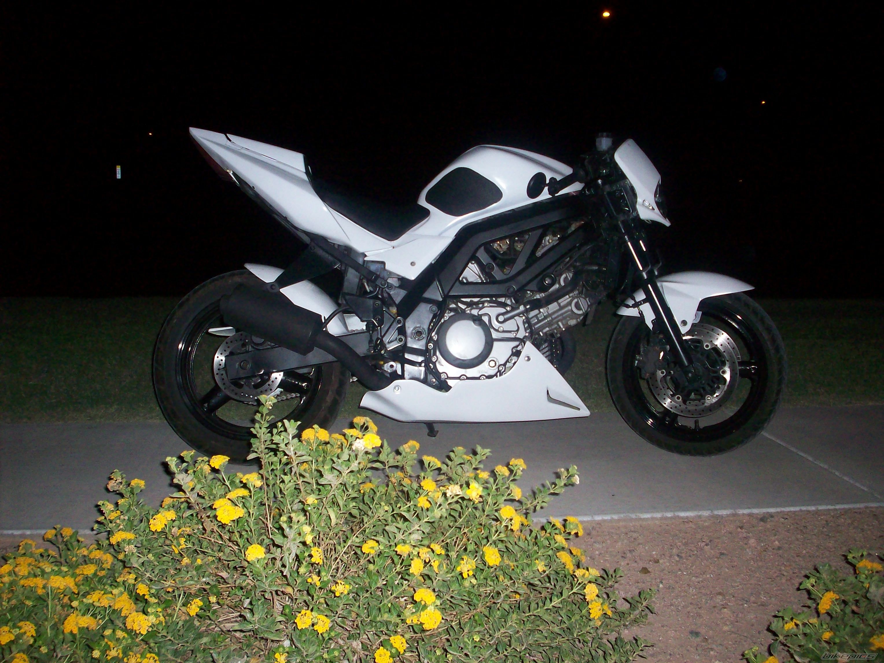 Photo 1784095