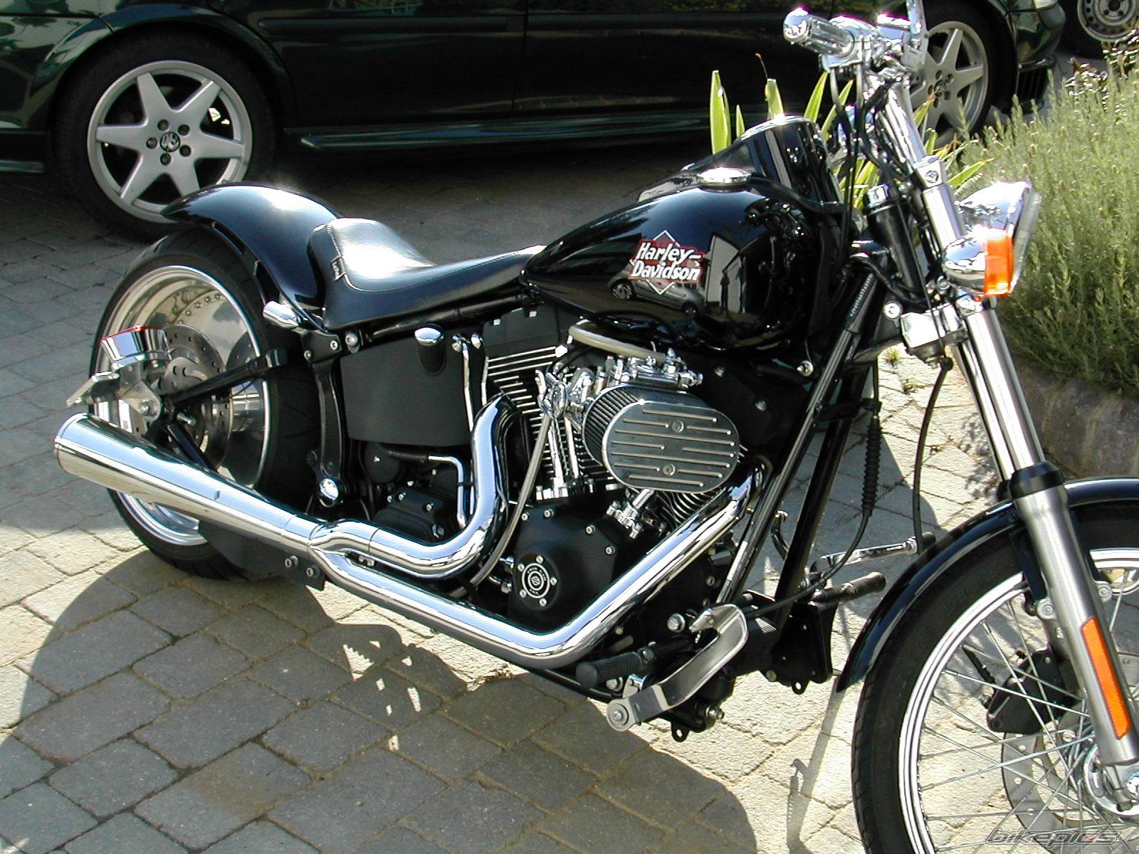 Photo 178415