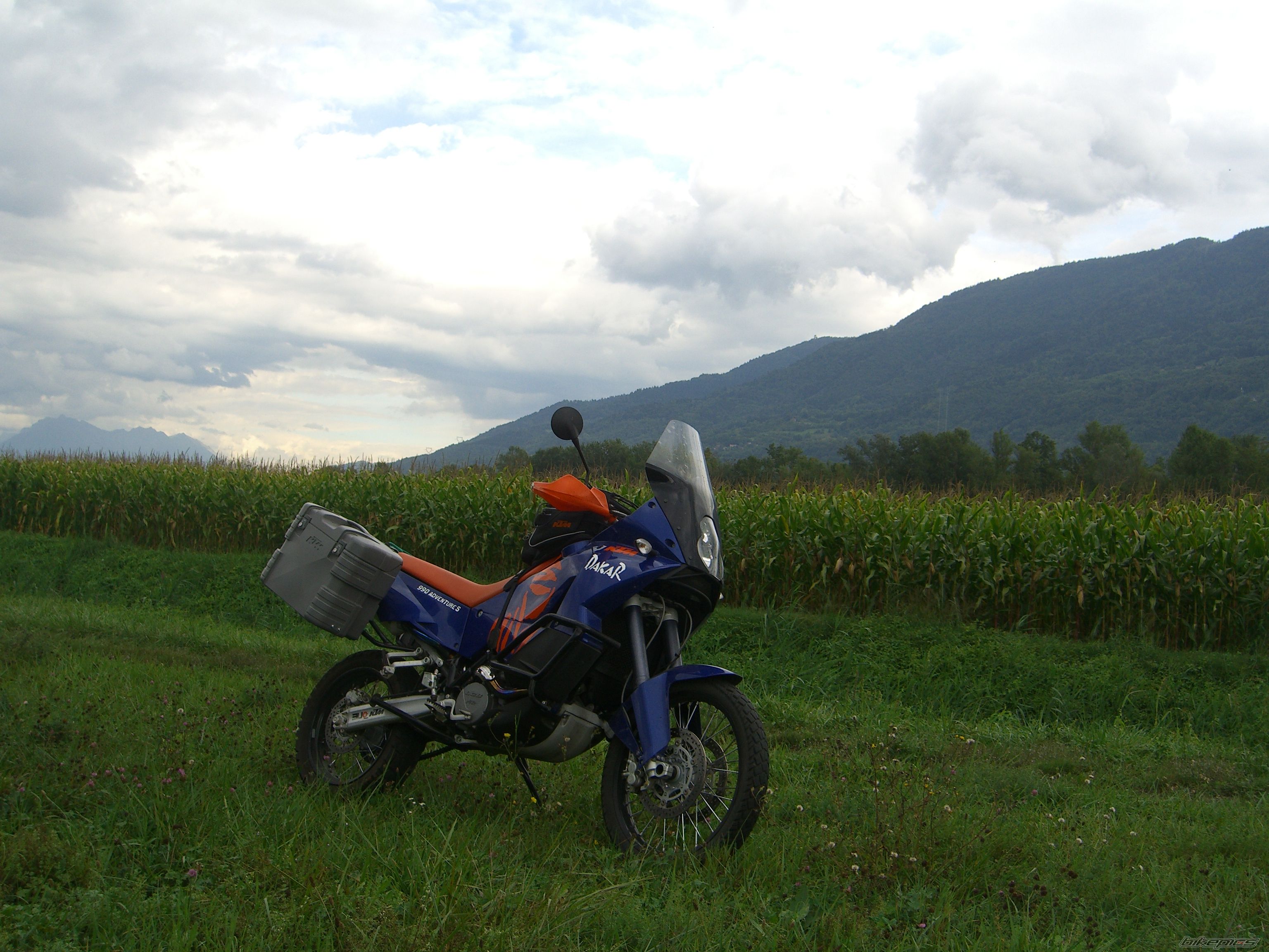 Photo 1784184