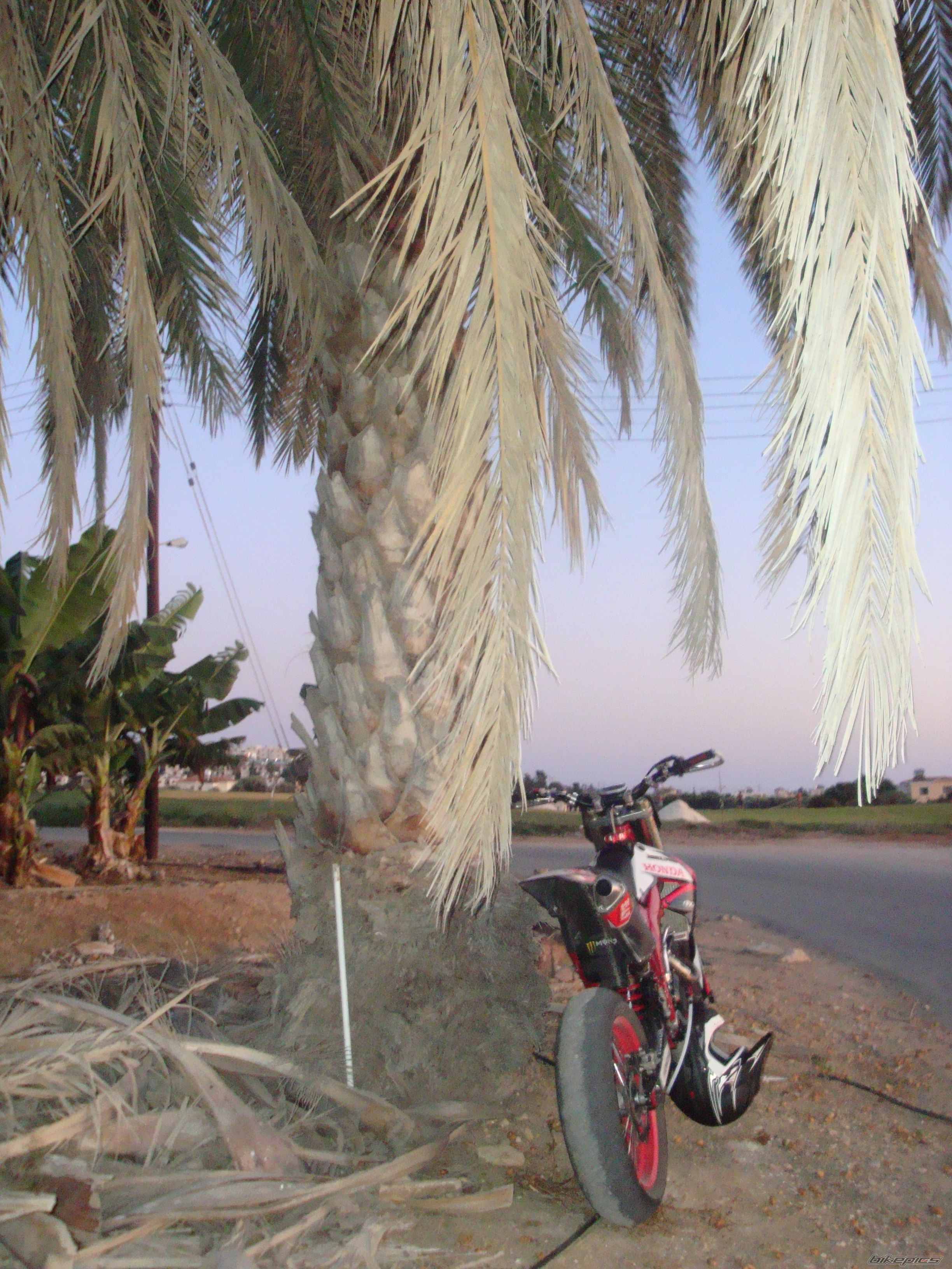 Photo 1784195