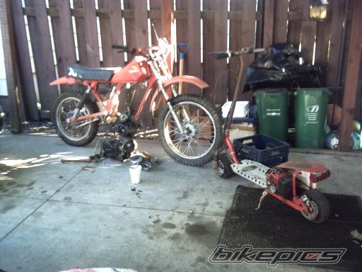 Bike Photo 1784209