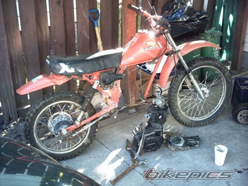 Bike Photo 1784210