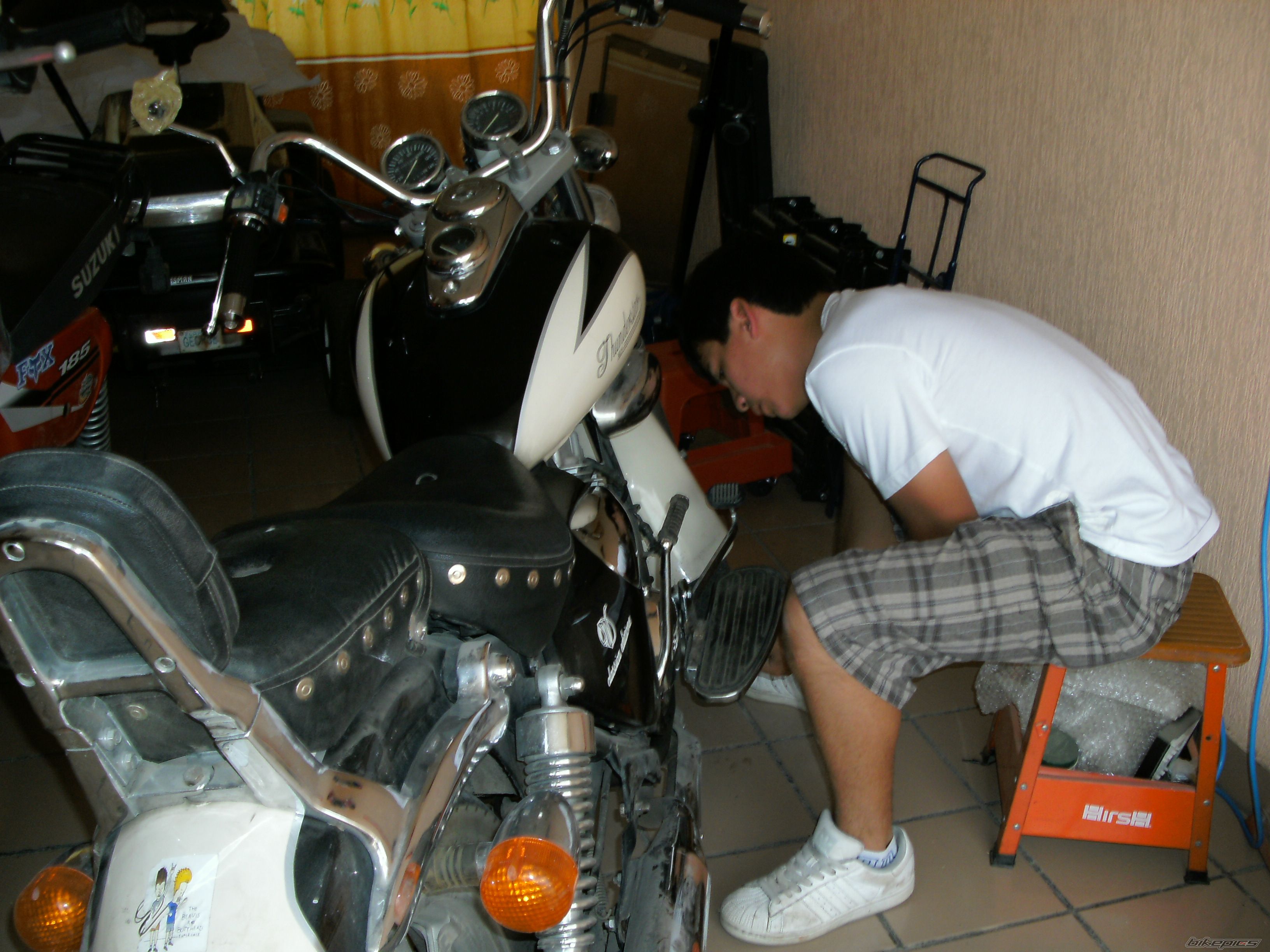 Photo 1784274