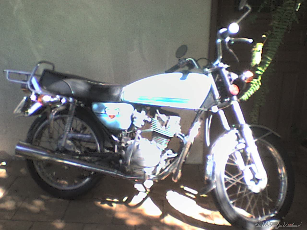 Photo 1784297