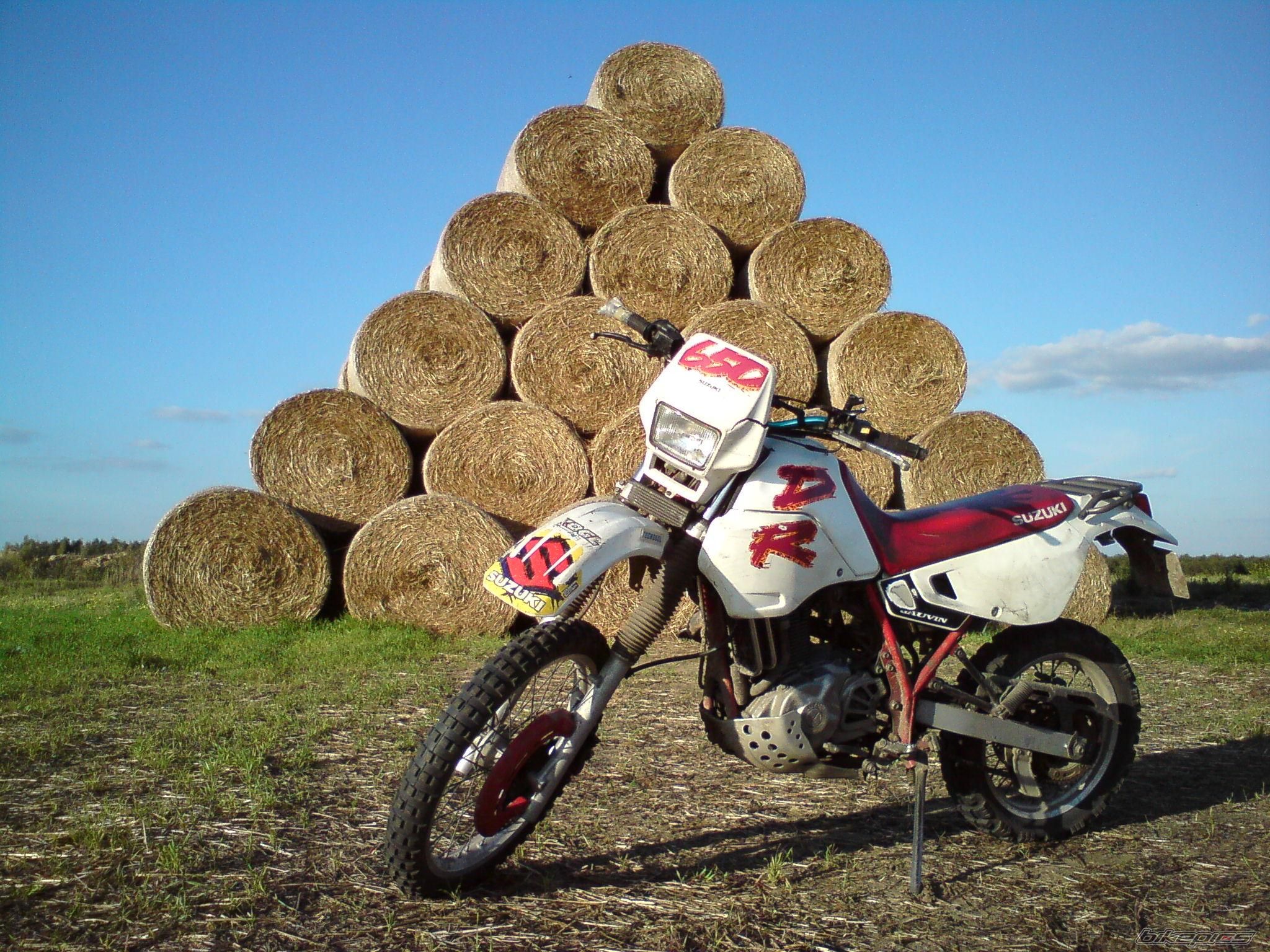Photo 1784385