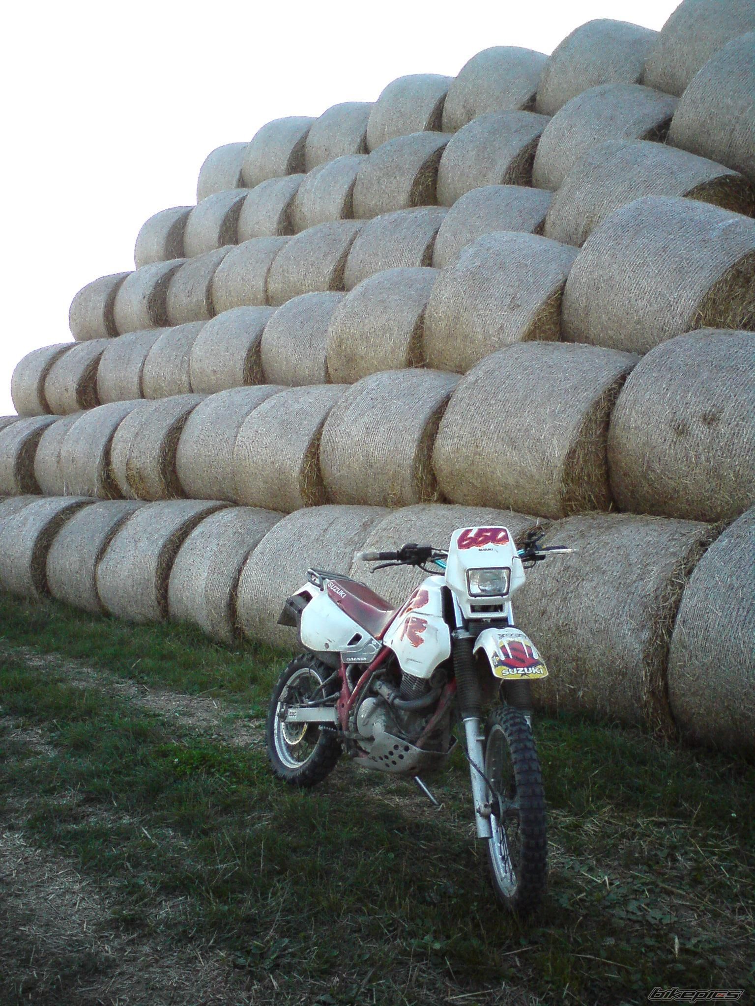 Photo 1784388
