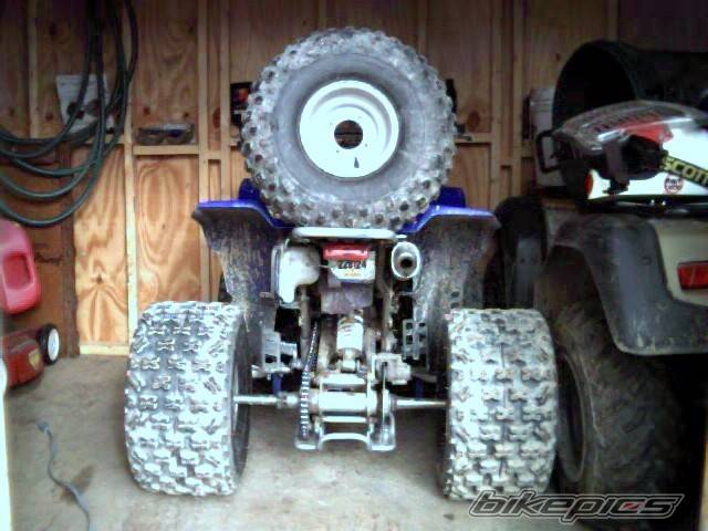 Photo 17844