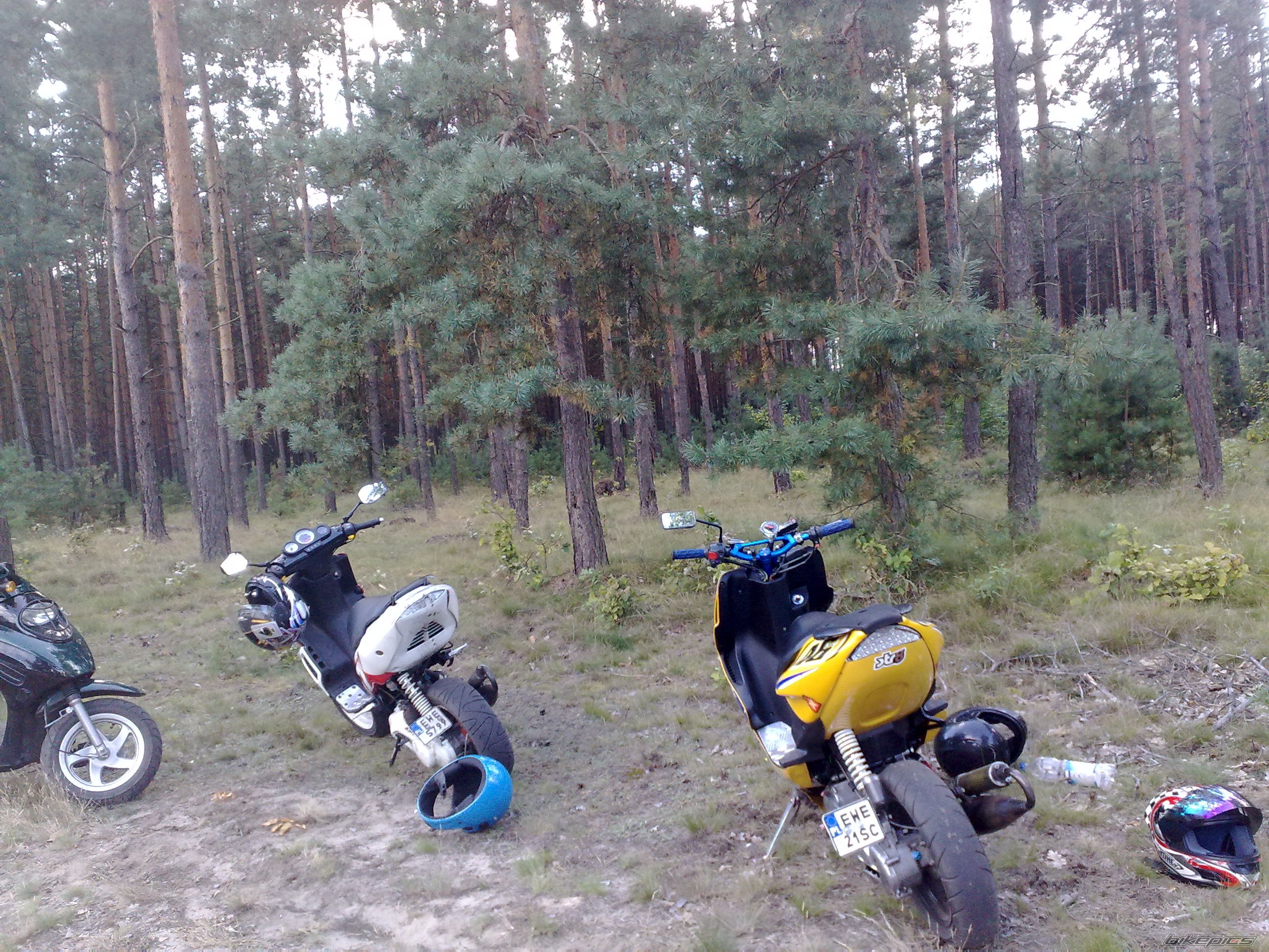 Photo 1784415