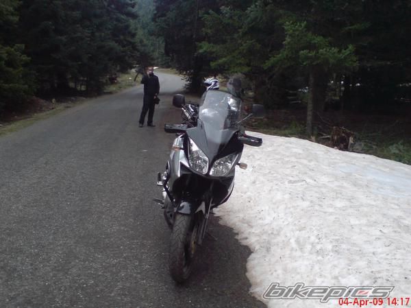 Photo 1784557