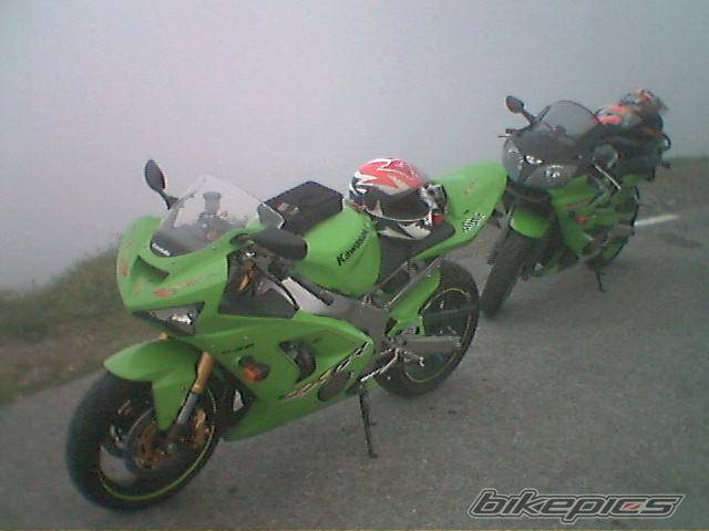 Photo 178458